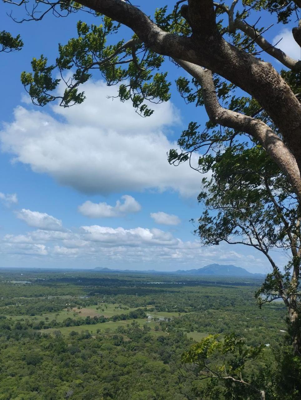 Sigiri Thilanka Rest Sigiriya Exterior foto